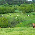 Tatil Evi De France 6/7 Personnes 3